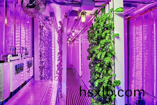 集裝箱辳場開始火了,特斯拉CEO的弟弟也(ye)開始在